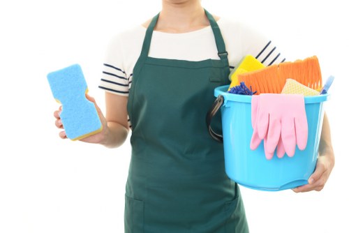 Cookie policy introduction for Rotherhithe Carpet Cleaners with privacy and browsing context.
