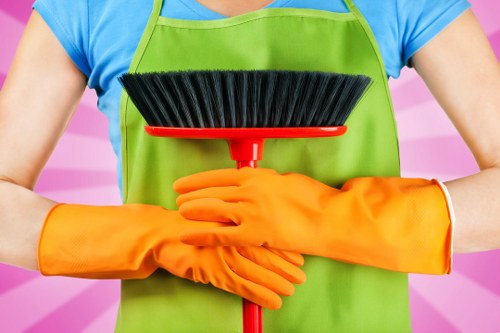 Professional carpet cleaning team in Rotherhithe introducing the company