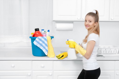 Curtain cleaning services for a bright home in Rotherhithe