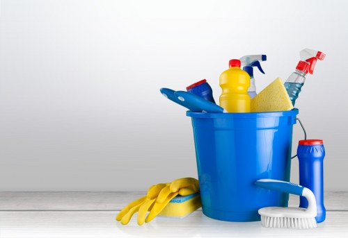 Professional carpet cleaner preparing for work