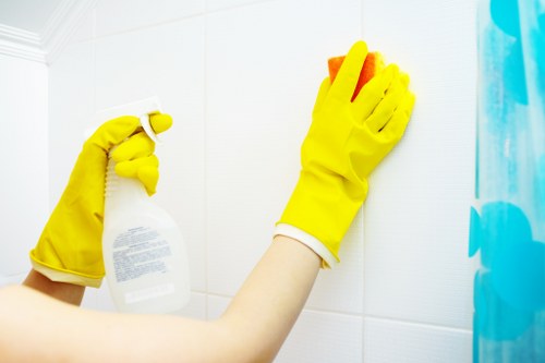 Professional discussion about resolving a carpet cleaning issue
