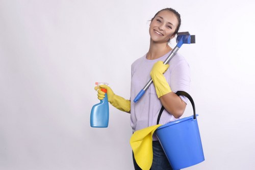 Deep cleaning a carpet in a Rotherhithe property