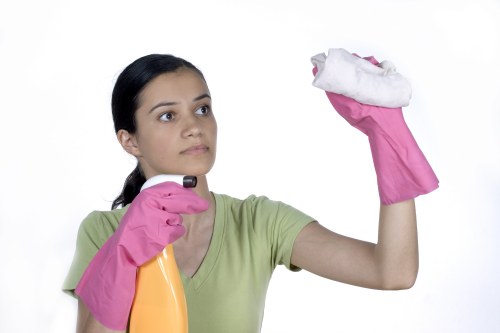 Technician preparing a carpet steam cleaning service in Rotherhithe